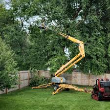 Best Seasonal Cleanup (Spring/Fall)  in Landover, MD