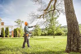 Best Tree Planting  in Landover, MD