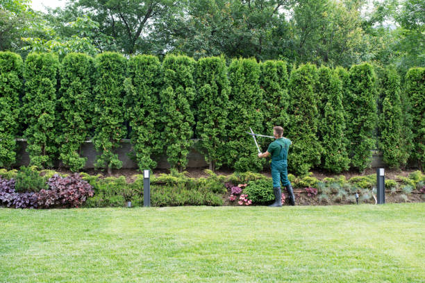 Best Aeration Services  in Landover, MD