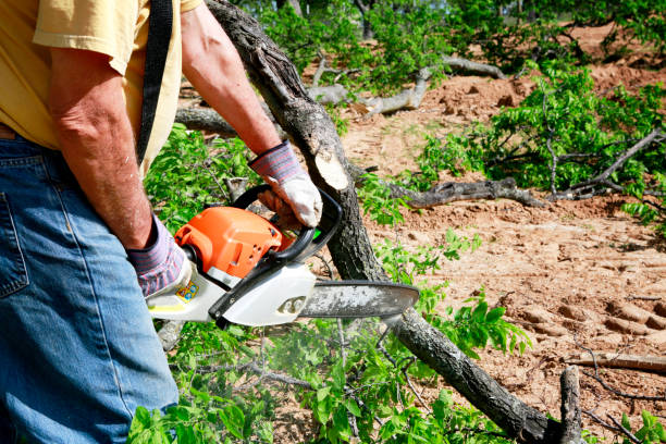 Best Utility Line Clearance  in Landover, MD